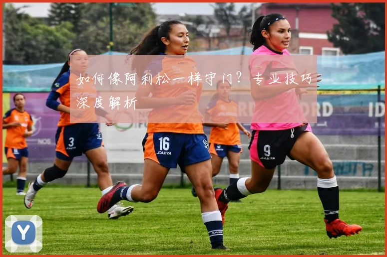 如何像阿利松一样守门？专业技巧深度解析